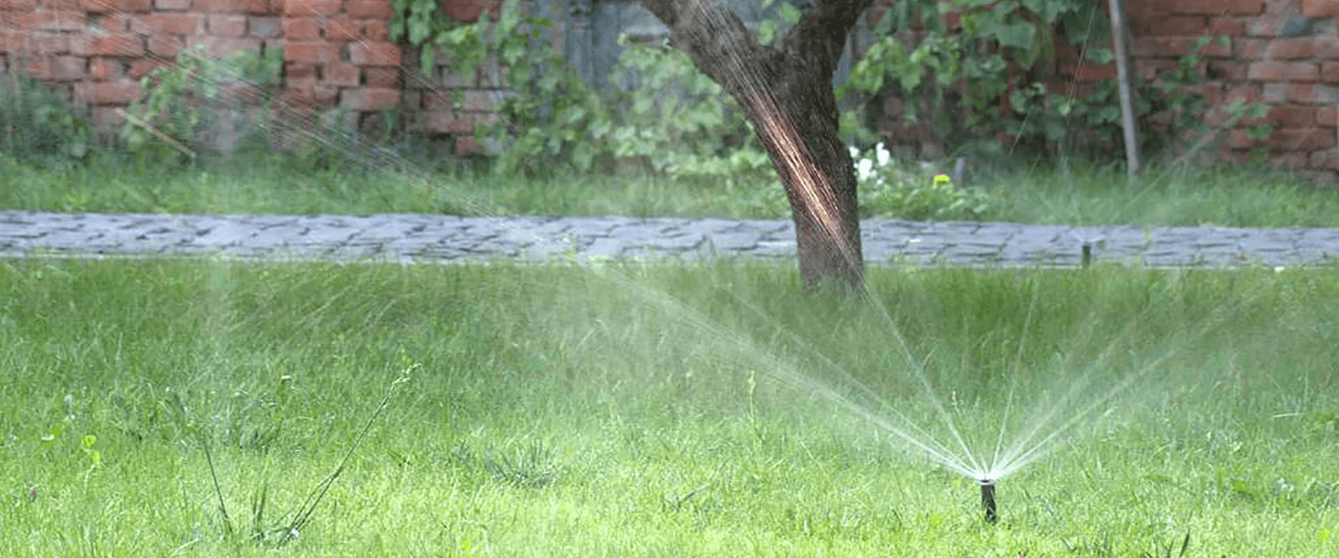 Auto Watering