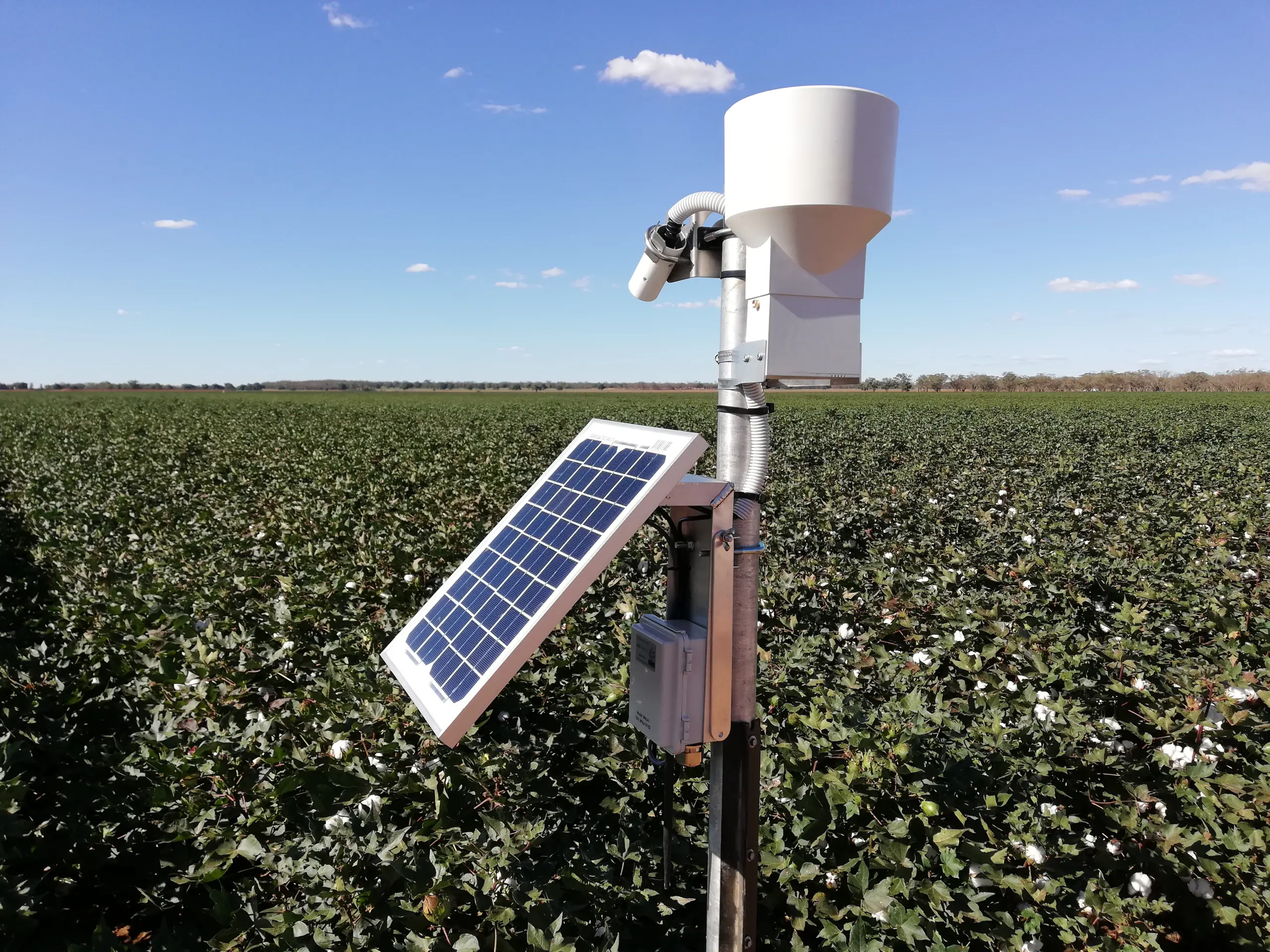 Microclimate Monitoring